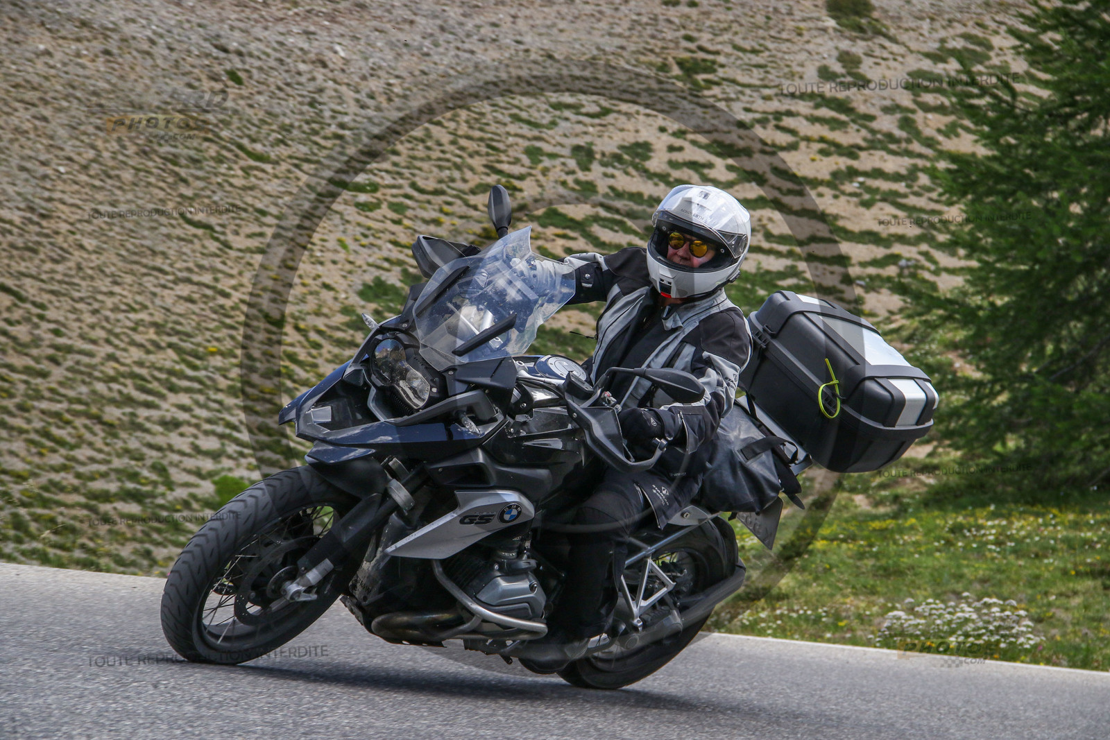 colizoard20138.jpg