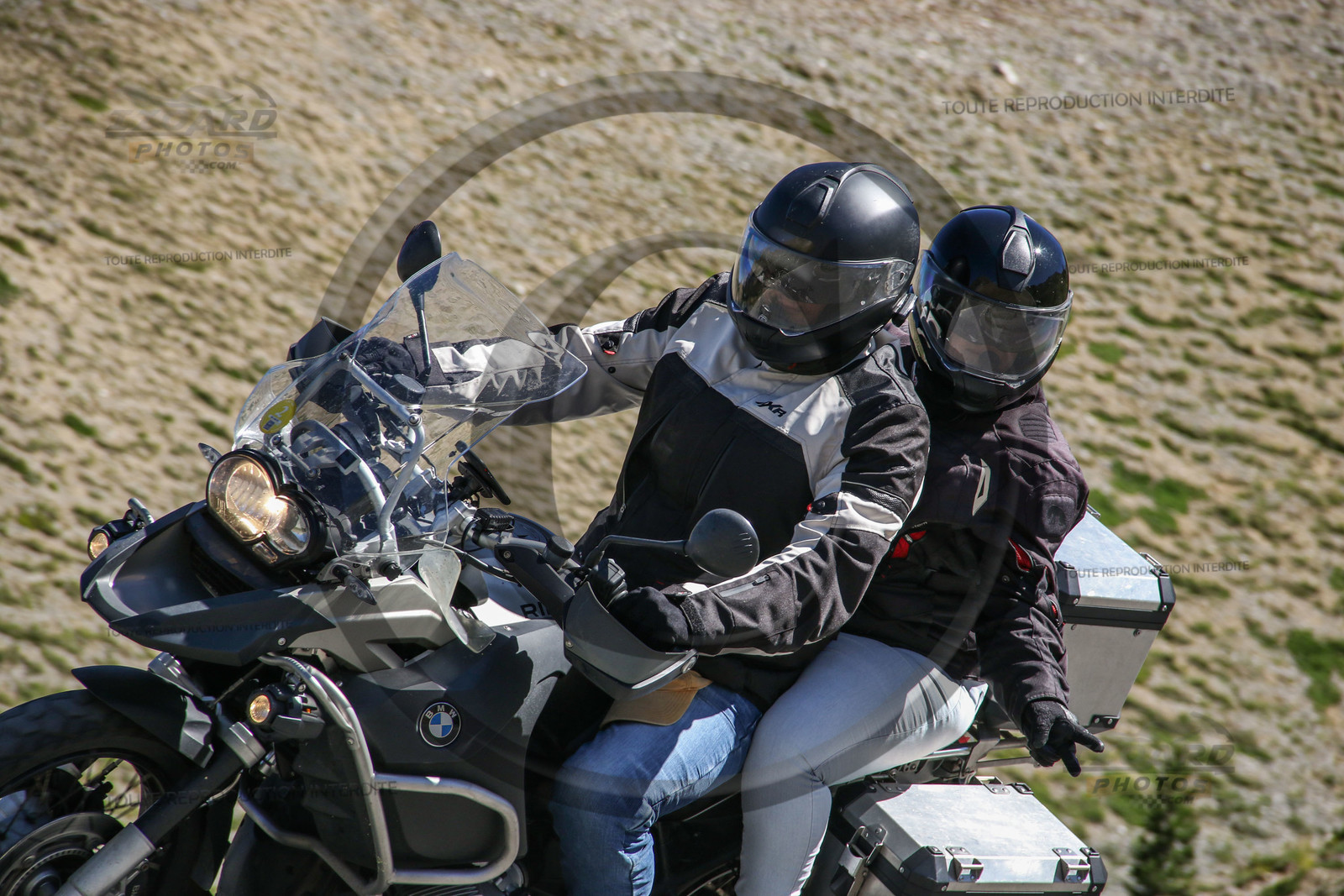 colizoard30815.jpg