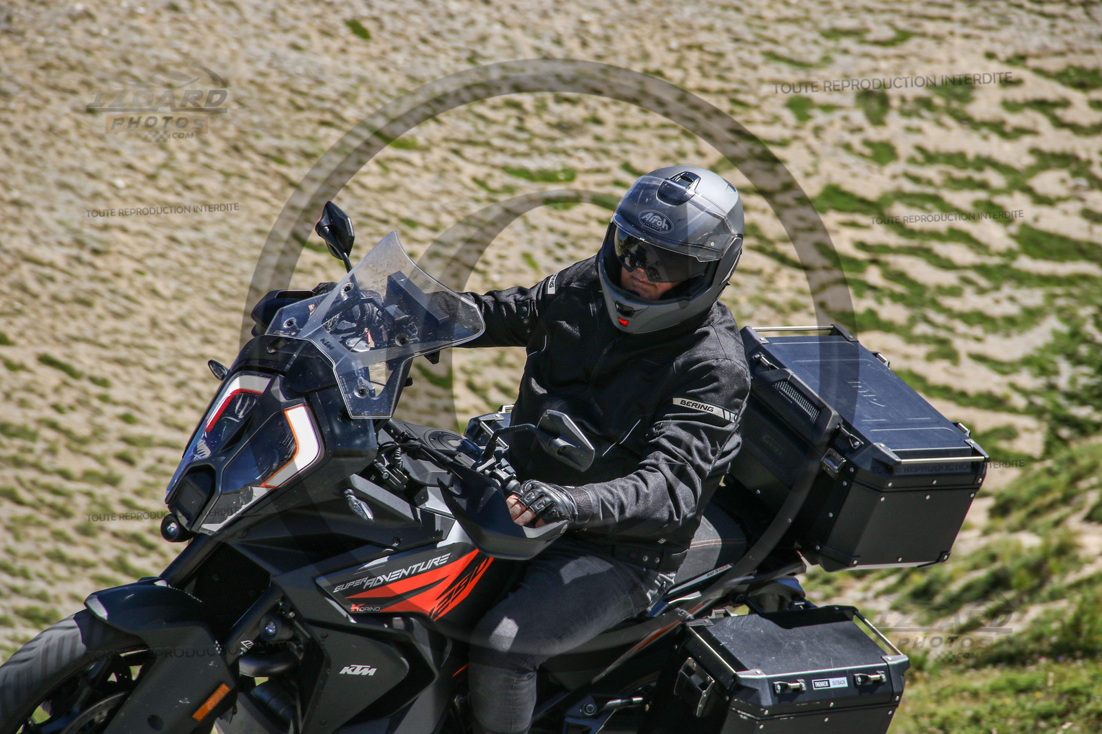 colizoard31095.jpg