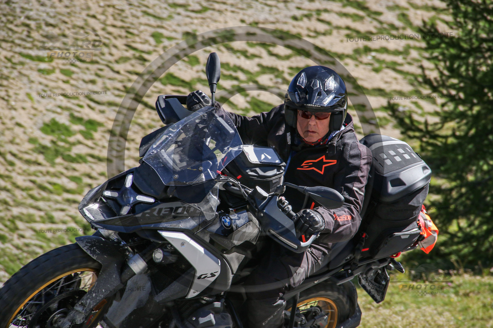 colizoard30858.jpg